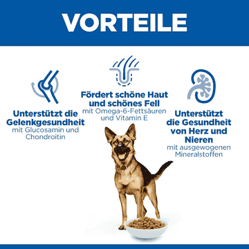 Canine Mature Adult 6+ Large Breed