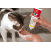 Anima Strath Paste