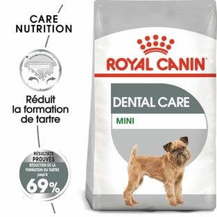 Dental Care Mini