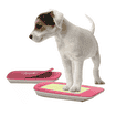 PawCare Small Container, 185g