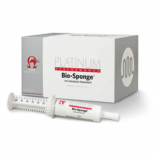 Bio-Sponge Seringue