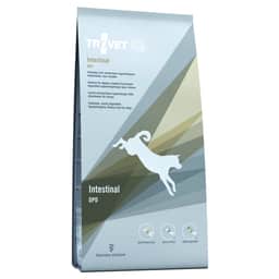 Intestinal DPD Hund