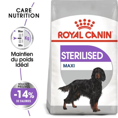Sterilised Maxi