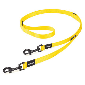 Basic Dog leash XL
