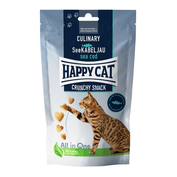 Culinary Crunchy Snack