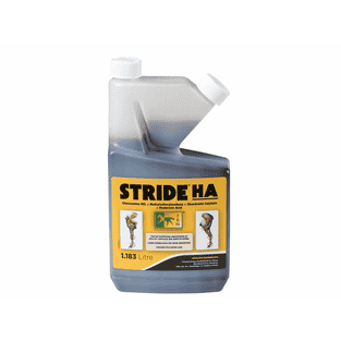 STRIDE HA