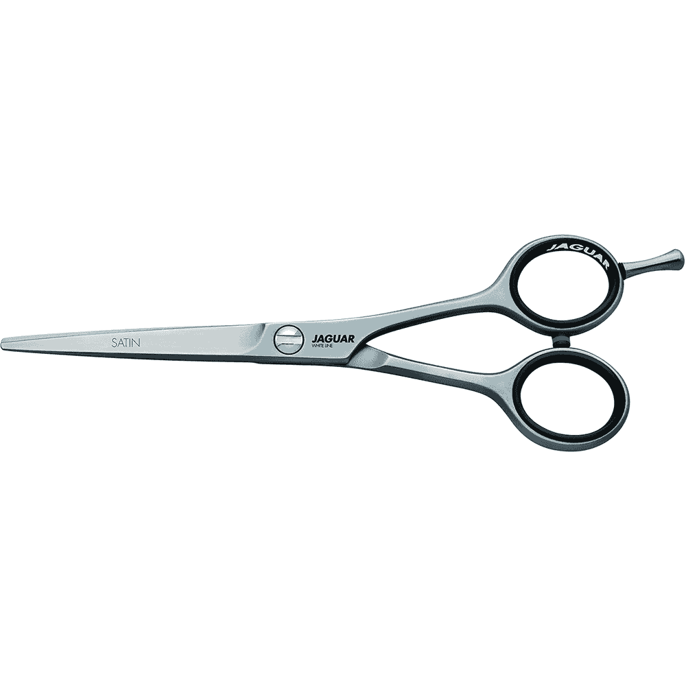 Satin Silver Ice White Line scissors