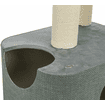 Viviana cat scratcher