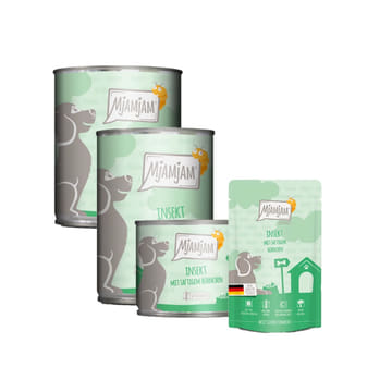 Dog Insekt - mit saftigem Hühnchen