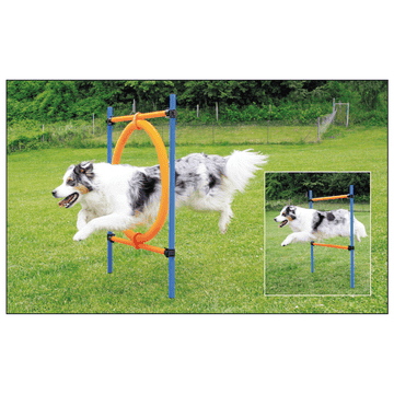 Agility Sprungring 2 in 1