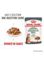 Digestive Care - sachet