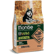 Grain Free All Breeds Adult Salmon