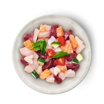 Famousse Katze getreidefrei Lachs+Huhn