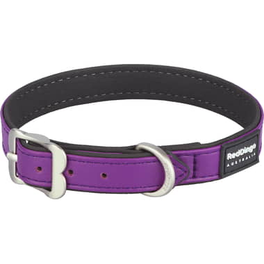 Collier Elegant Purple