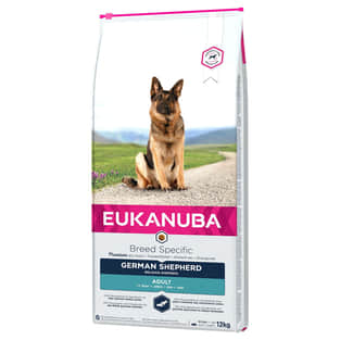 German Shepherd Adult