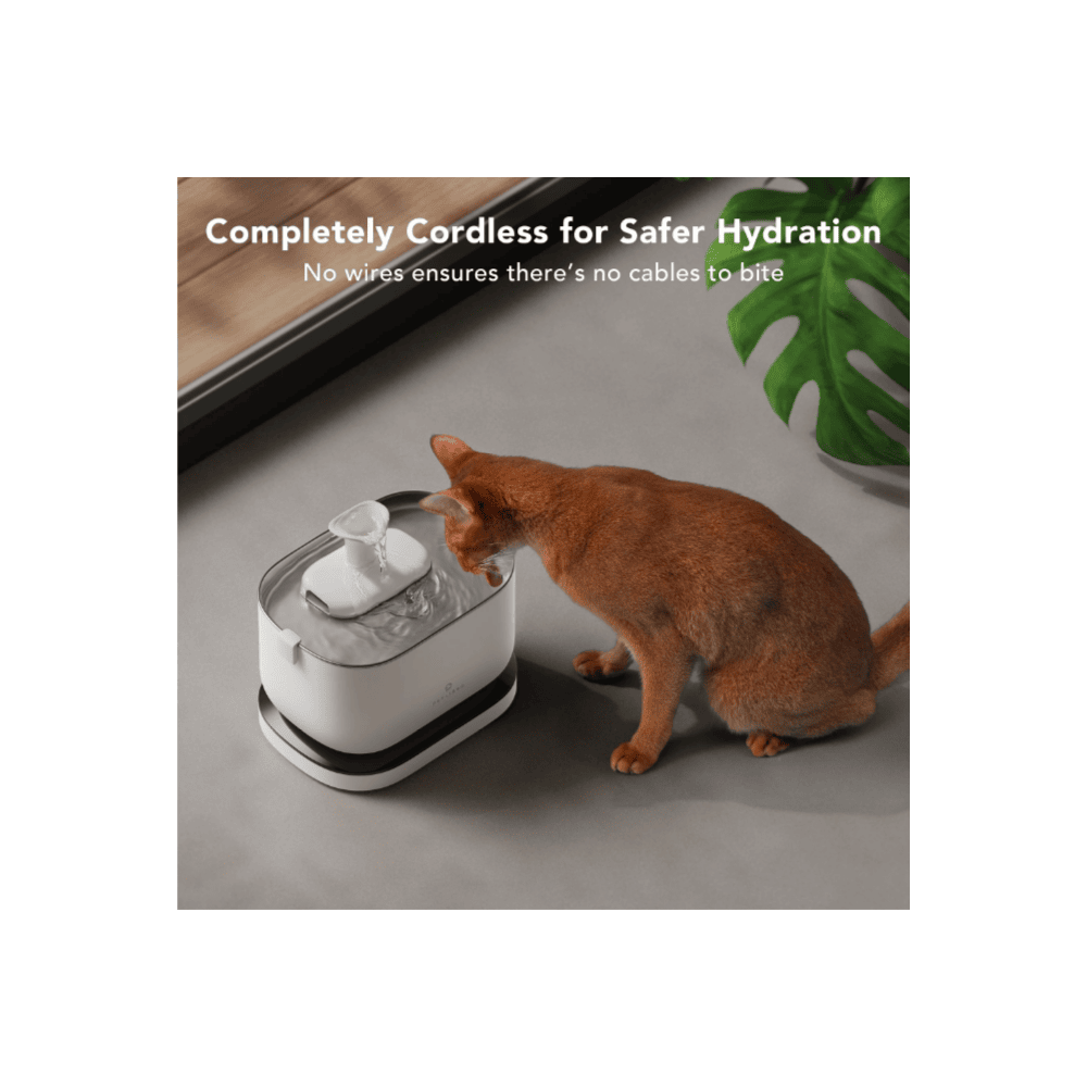 Dockstream cordless drinking fountain