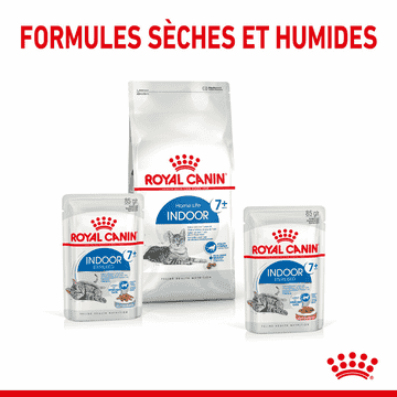 Indoor Cat 7+ en sachet