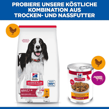 Canine Adult 1-6 Delicious Cuisine with chicken & added vegetables can