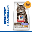 Feline Hairball & Perfect Coat Adult