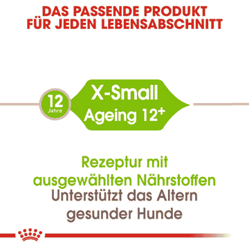 X-Small Ageing 12+