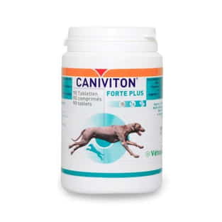 Caniviton Forte Plus