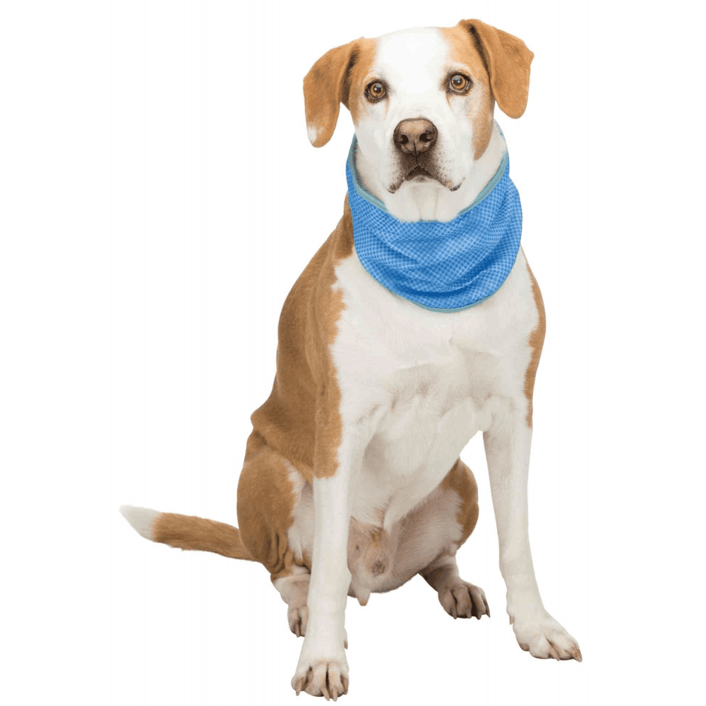 Cooling bandana PVA