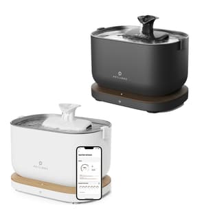 Dockstream intelligent drinking fountain