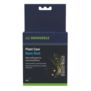 Plant Care Basic Root
