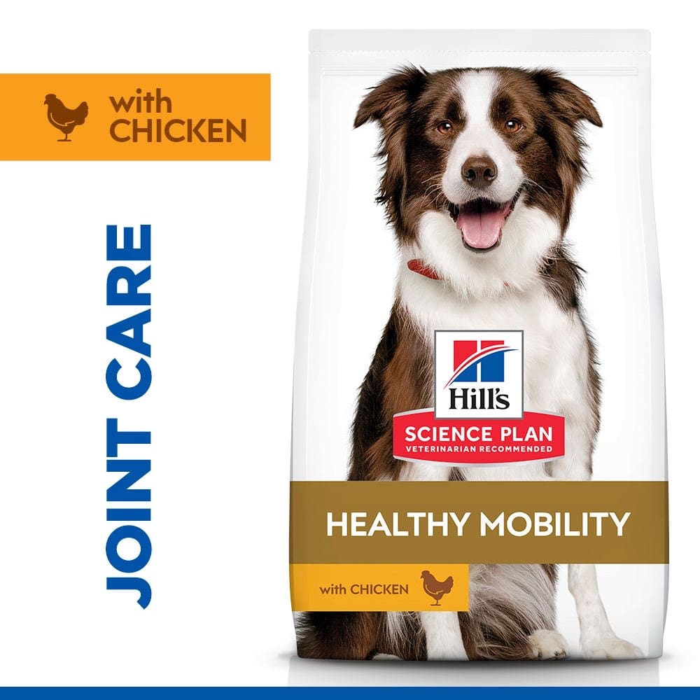Canine Adult Healthy Mobility Medium Breed