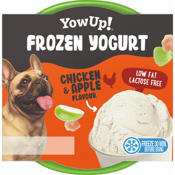 Dog Frozen Yogurt