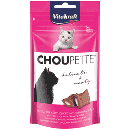 Cat Choupette Käse