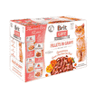 Care Cat Flavour Box - Fillets in Gravy