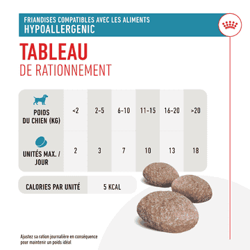 Hypoallergenic Treats