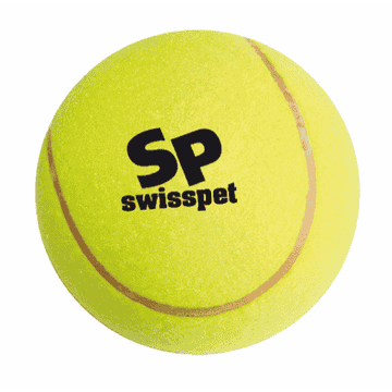 Smash & Play Variations de balles de tennis