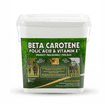 Beta Carotene, Folic Acid & Vitamin E