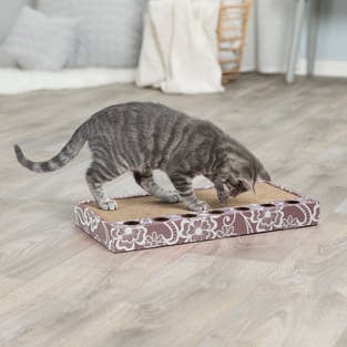 Kratzpappe mit Spielzeug & Katzenminze