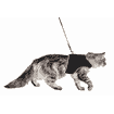 Harnais soft avec laisse pour chats