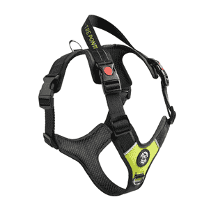 Geschirr Harmonia Lime