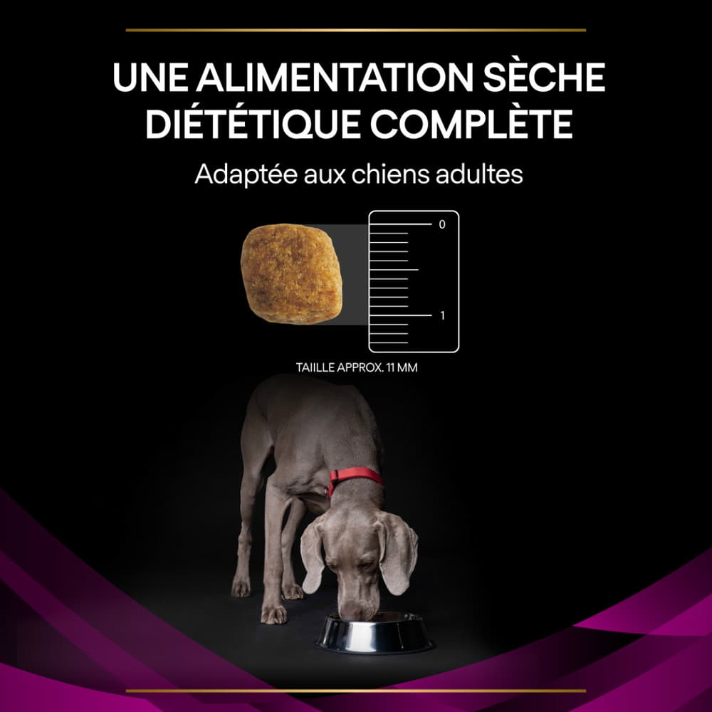CANINE UR Urinary