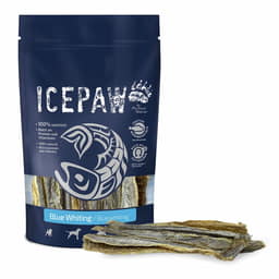 Dog Blue Whiting