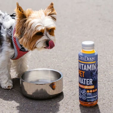 Cats Dogs Vitamin Pet Water maintenant sur iPet.ch