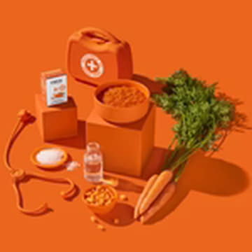 FRED Morosche Karottensuppe (Soupe de carottes de Moro)