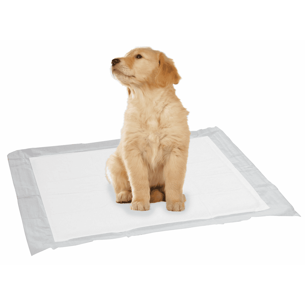 Puppy Pads