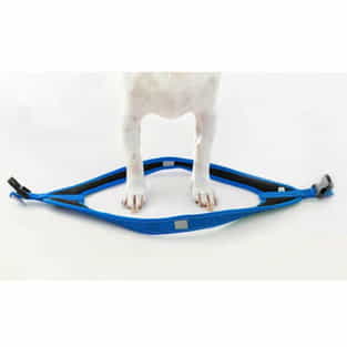 Harnais pour chien Fast-Fit bleu