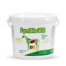 SynBioVit