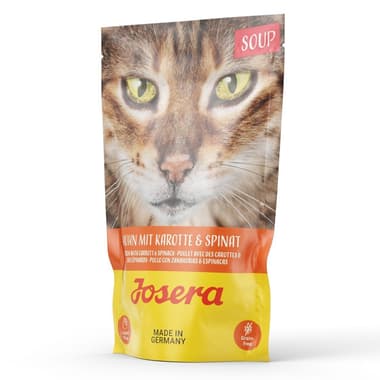 Soup Huhn mit Karotte & Spinat