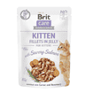 Care Cat - Fillets Kitten in Jelly with Salmon