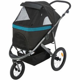 Buggy schwarz/petrol