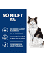 Feline y/d Thyroid Care - Dose