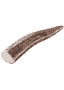 Ramure de cerf rouge
